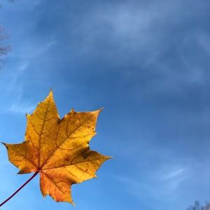 Meet your Posher, Julisa